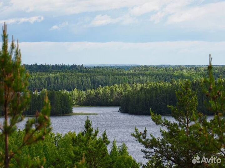 Экскурсия — Петрозаводск — Автобусная Экскурсия «З