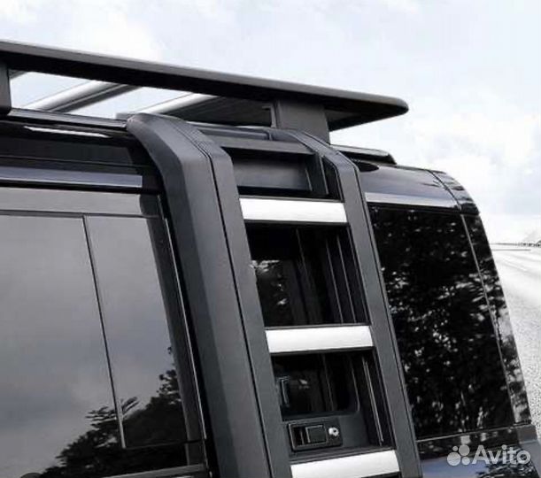 Лестница + багажник Defender