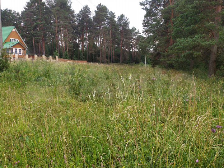 Участок 11,6 сот. (ИЖС)