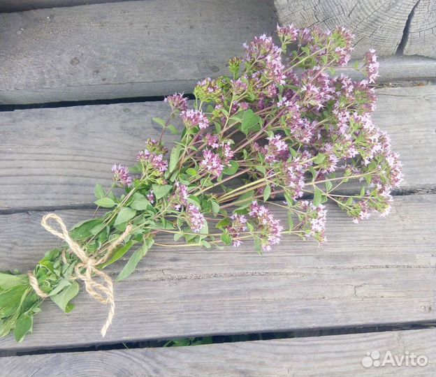 Букет цветов Душица