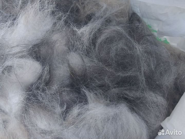 Собачья шерсть для пряжи