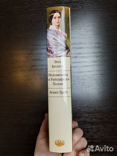 Книга Незнакомка из Уайлдфелл-Холла. Агнес Грей