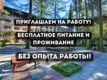 Сиделка в пансионат с проживанием