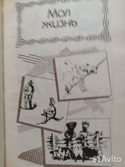 Э. Сетон-Томпсон. Моя жизнь, Маленькие дикари