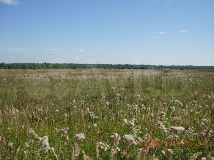 Участок 50 га (СНТ, ДНП)