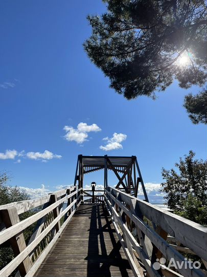 Экскурсии по Калининграду и области