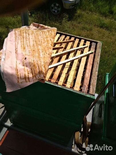 Бак 30 кг Мед Луговой с лабораторной проверкой