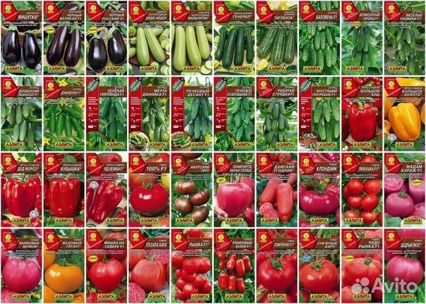 Семена томатов