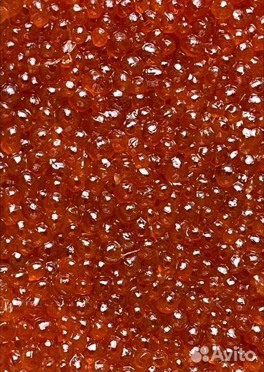 Красная икра оптом