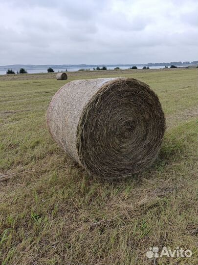 Сено в рулонах