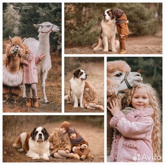 Фотограф Орел