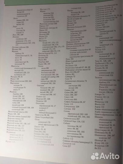 Полная энциклопедия животного мира