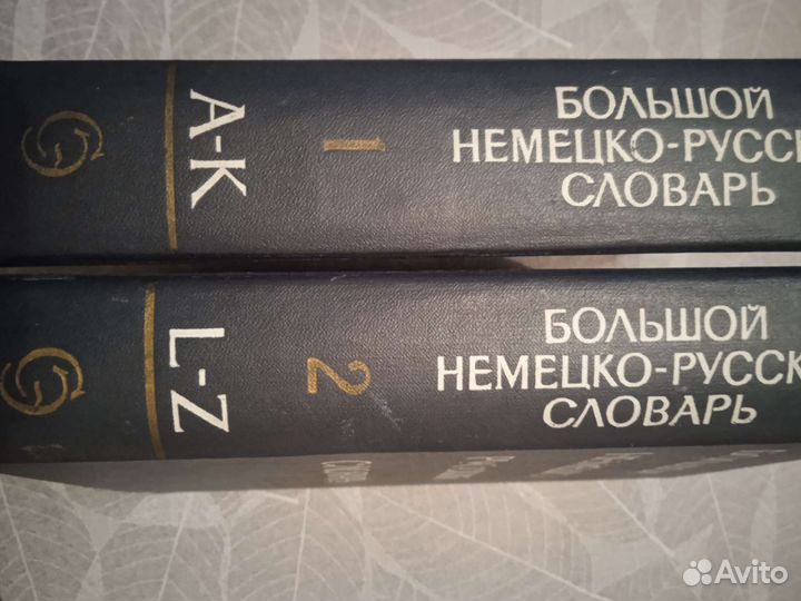 Большой немецко-русский словарь 2 тома