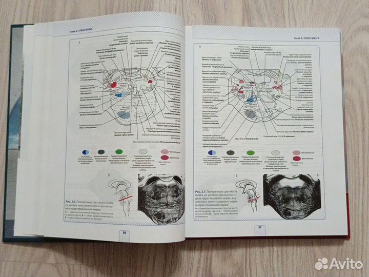 Атлас по клинической неврологии. А. А. Скоромец