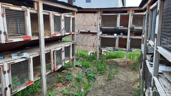 Клетка для кролика