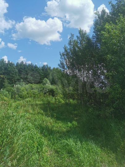 Участок 17,9 сот. (ИЖС)