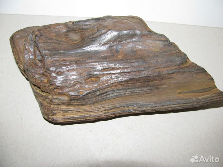 Окаменелое дерево (в коллекцию)