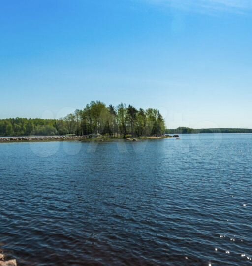 Участок 11 сот. (СНТ, ДНП)