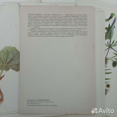 Набор 32 открытки лекарственные растения объявление продам