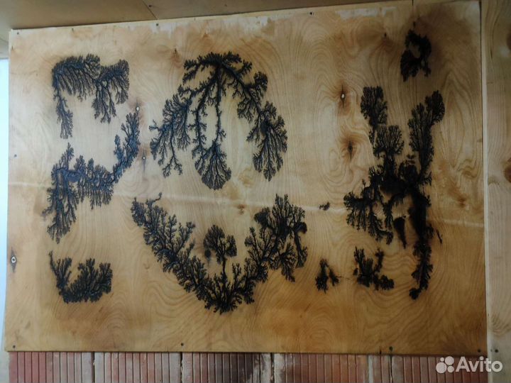 Молнии на дереве, фигуры Лихтенберга