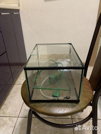 Аквариум для черепах и рыбок