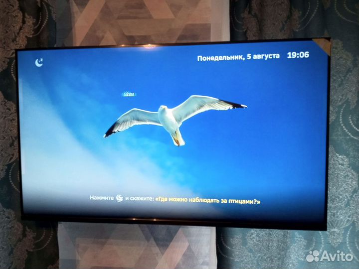 Телевизор SMART 42