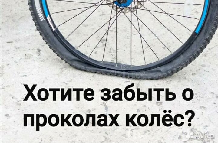 Антипрокол