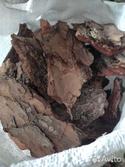 Сосновая кора, кора лиственницы