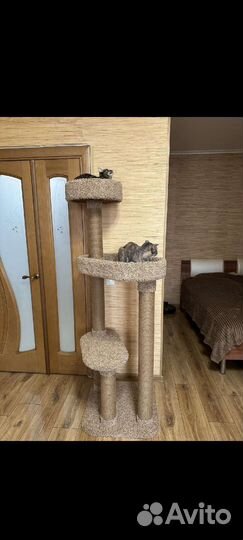 Когтеточка домик для кошки