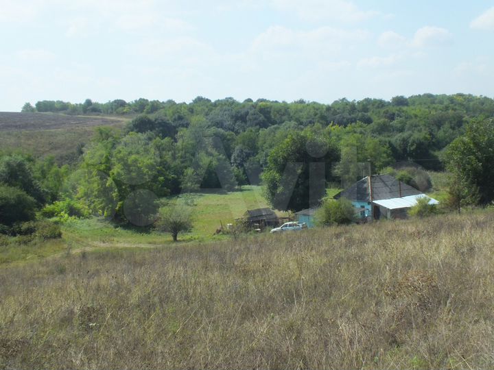 Дом 56 м² на участке 46 сот.