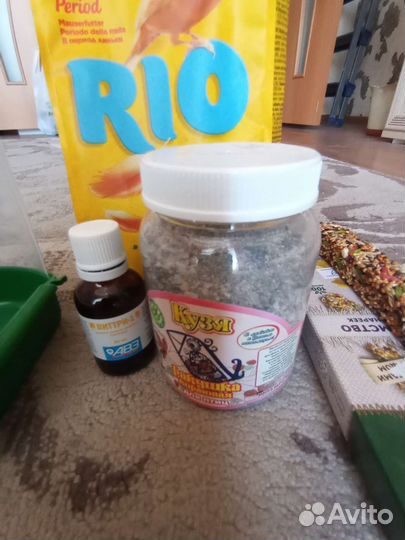 Корм и приспособления для канарейки