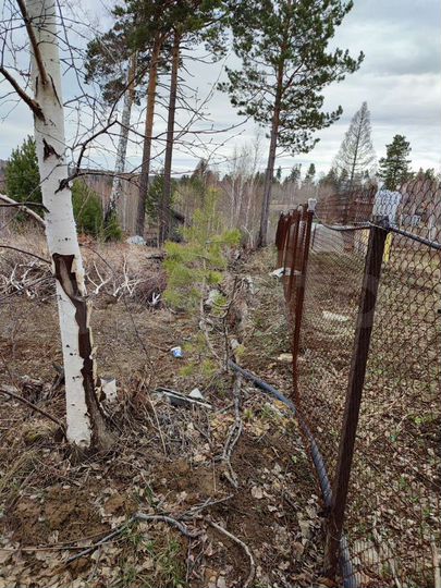 Участок 12,5 сот. (СНТ, ДНП)