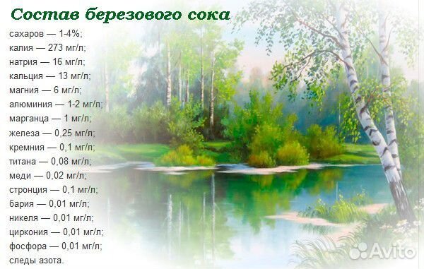 Свежий березовый сок 2024 от 48руб за литр
