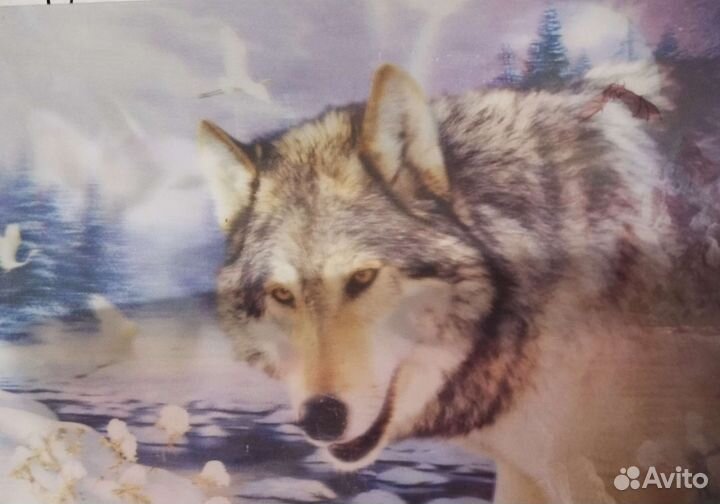 Картина голографическая Волки