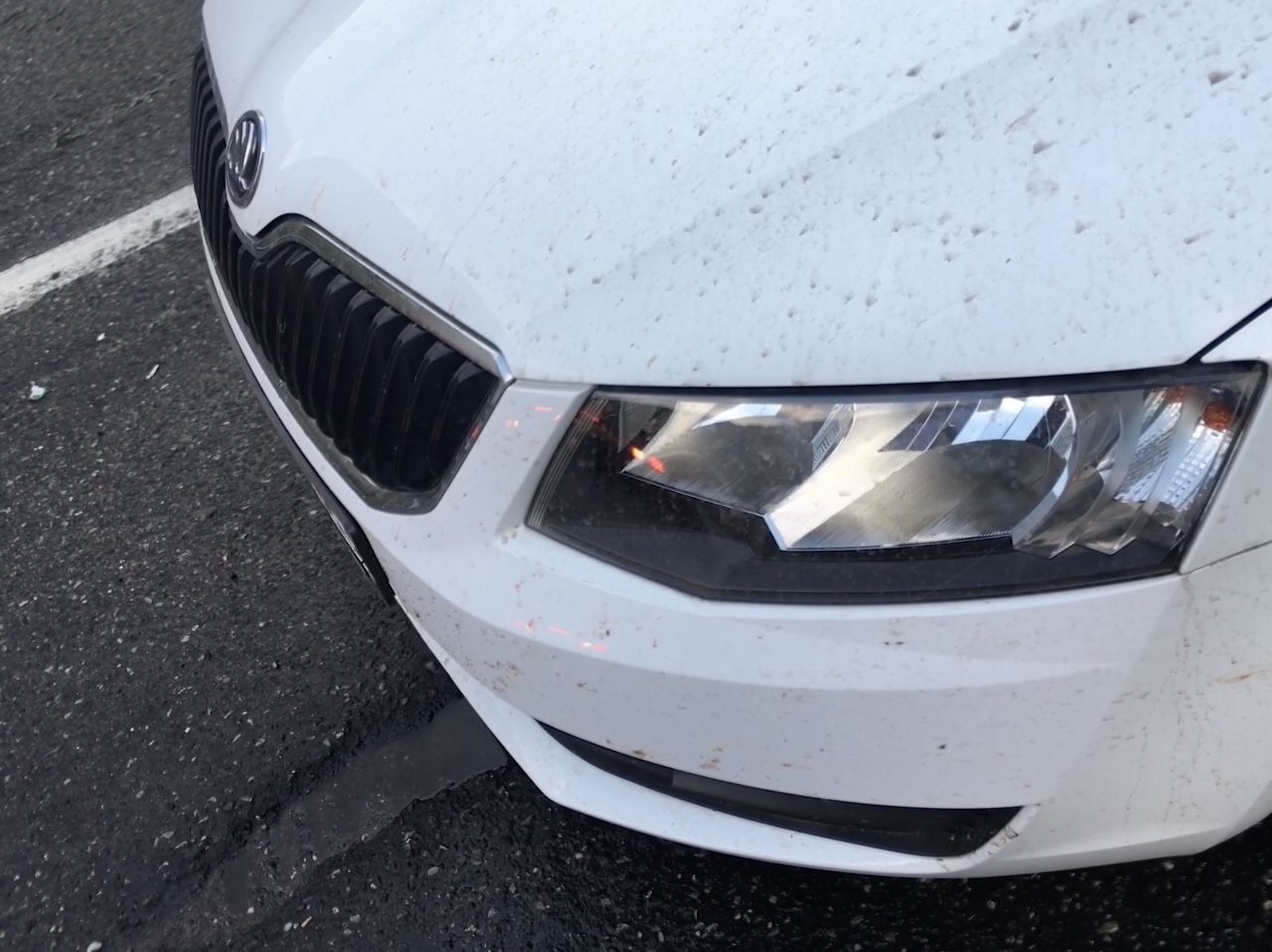 Skoda Octavia: фото владельца