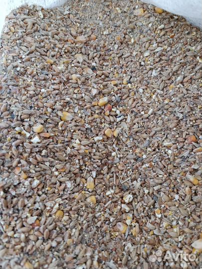 Зерносмесь дробленая