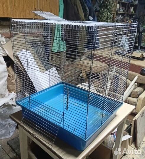 Клетка для крыс, белок дегу