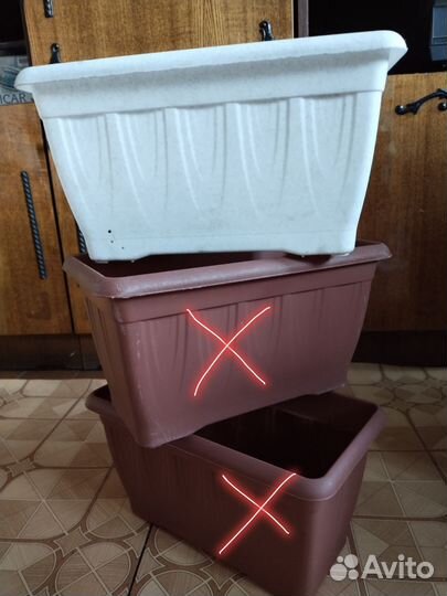 Ящики для рассады