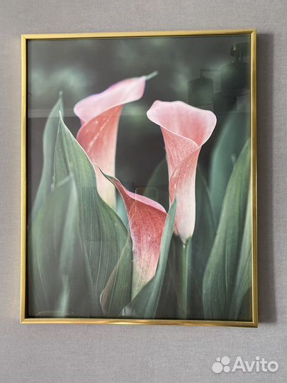 Интерьерные постеры