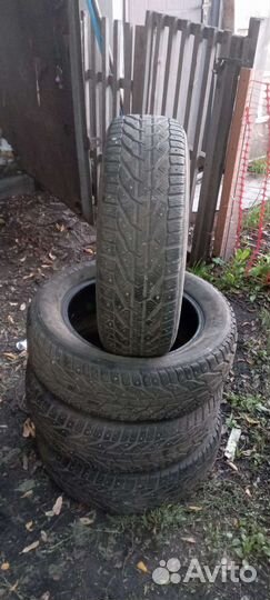 Tigar Ice 205/60 R16