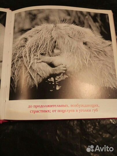 Альбом фото из жизни животных