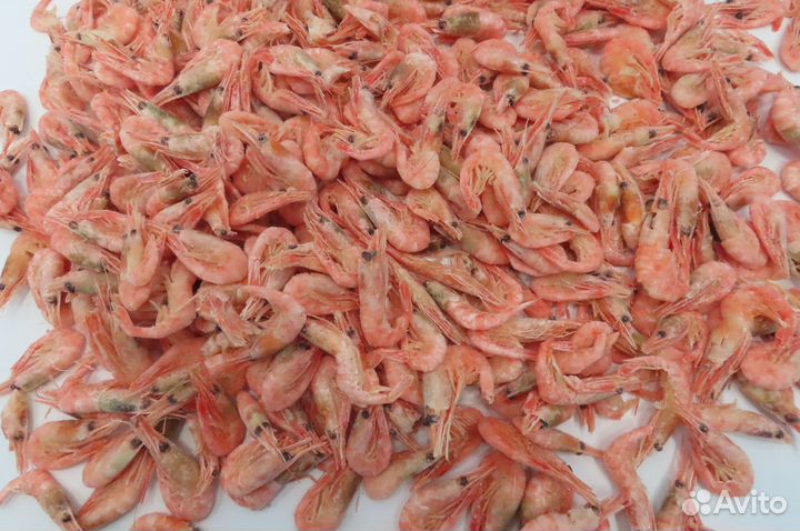 Креветка северная в/м РФ - 250+