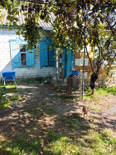 Дом 40 м² на участке 30 сот.