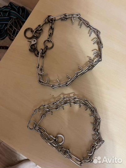 Строгий ошейник