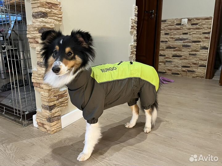 Дождевик для средней собаки