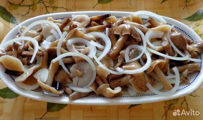 Грибы опята маринованные