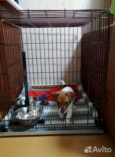 Клетка №4 для собак
