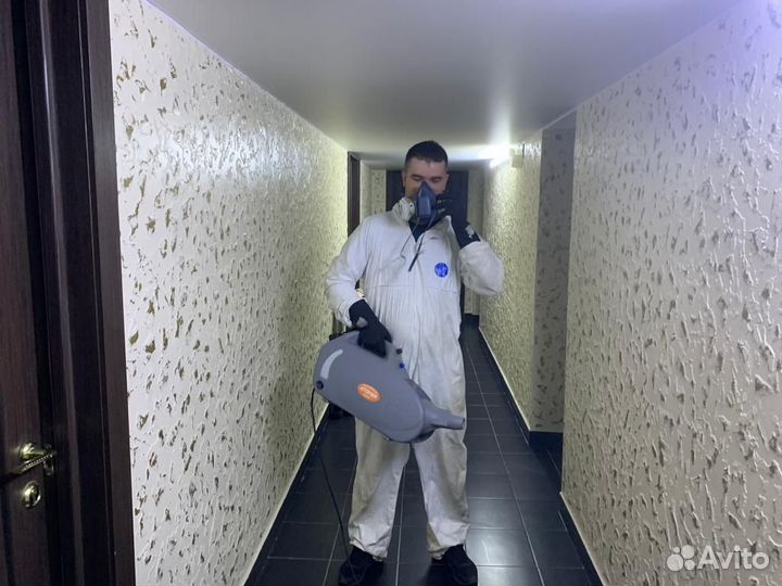 Дезинфекция Дезинсекция клопов тараканов