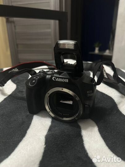 Зеркальный фотоаппарат Canon EOS 250D