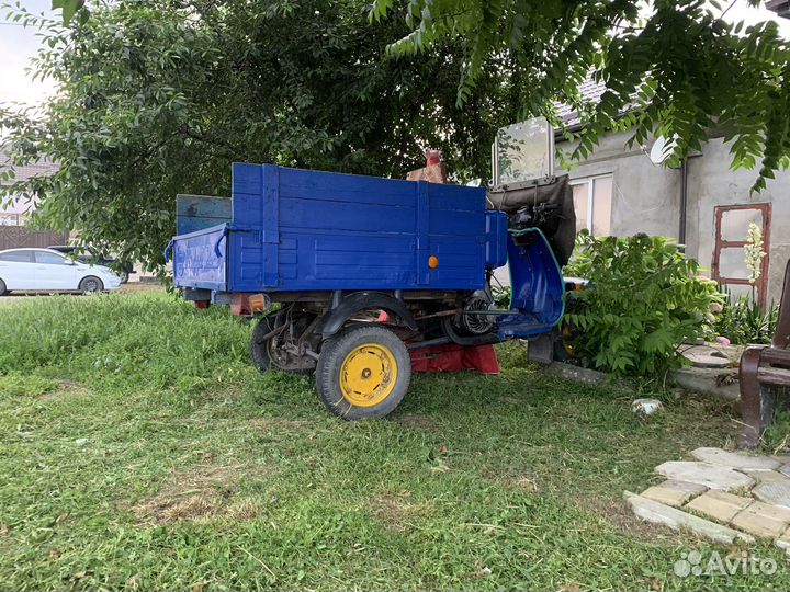 Муравей мотороллер